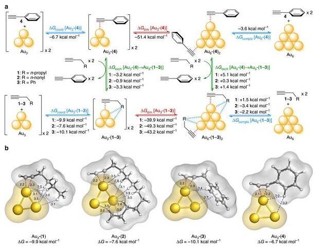 金底物相互作用在催化金亞納米團(tuán)簇中的關(guān)鍵作用